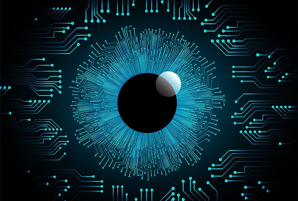 Blue Turtle adds Microsoft Gold Data Platform partner to its war chest