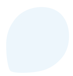 About Us | Blue Turtle Technologies
